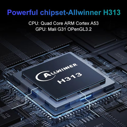 Android13 TV Box 4K Allwinnerh313 BT5.0 Google Play Youtube Tiktok HDR10 2G16G Dual2.4/5Gb Wifi Streaming Media Set-Top Box Q1